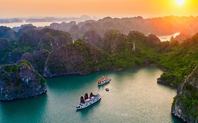 Halong Arcadia Cruise